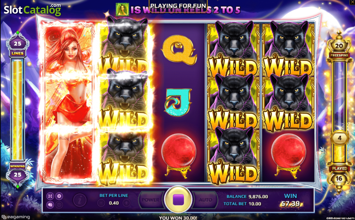 Wild Fairies Screenshot