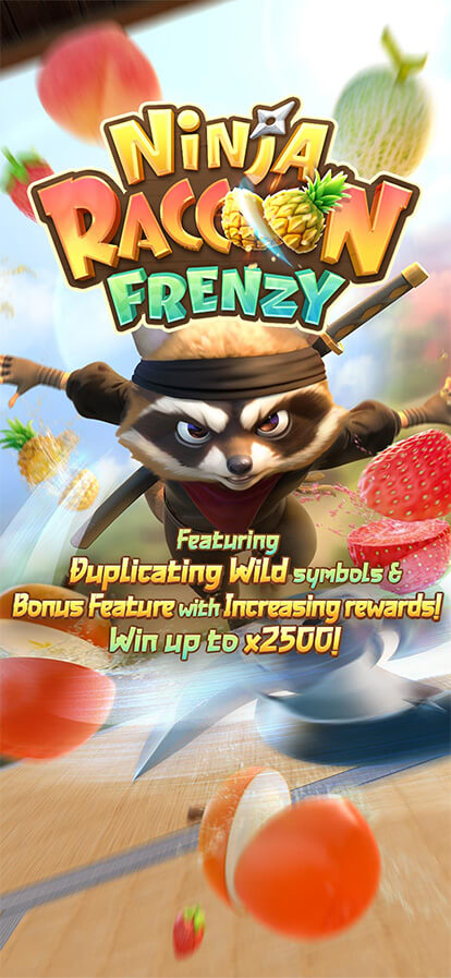 Ninja Raccoon Frenzy Screenshot
