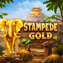 BetSoft Stampede Gold Game at SlotsHawk