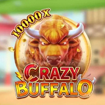 Crazy Buffalo