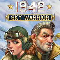RT 1942 Sky Warrior