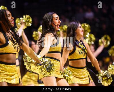 WG Forest dance Screenshot